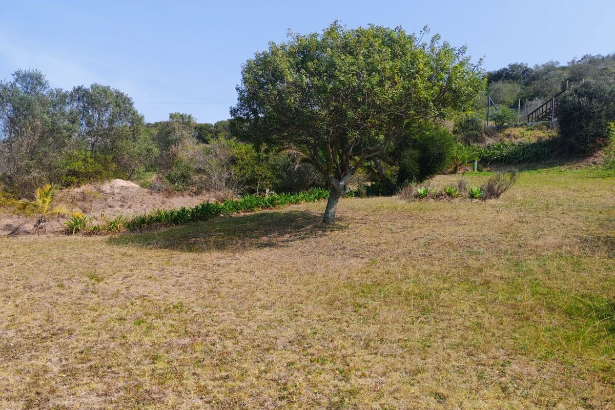 A view of a spacious, gently sloping residential plot featuring established trees and natural garden landscaping.