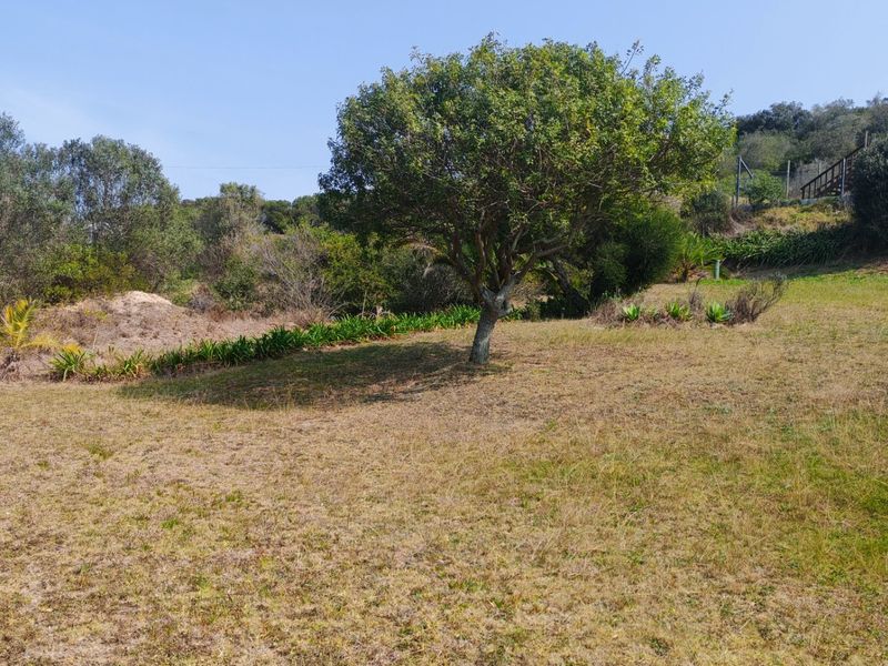 A view of a spacious, gently sloping residential plot featuring established trees and natural garden landscaping.