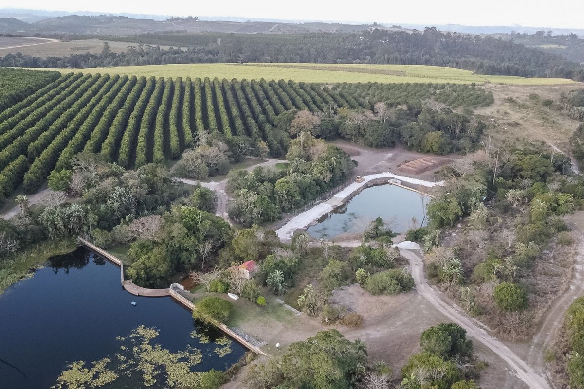 One Of The Best Farms On The South Coast !! - Photo 2