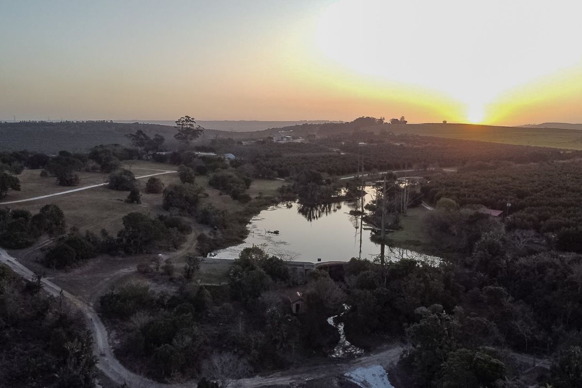 One Of The Best Farms On The South Coast !! - Photo 5