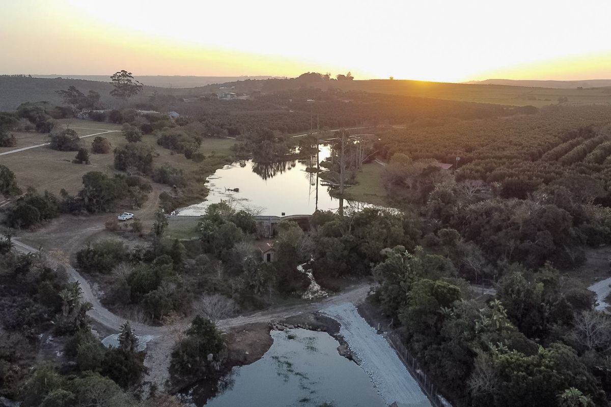 One Of The Best Farms On The South Coast !! - Photo 4