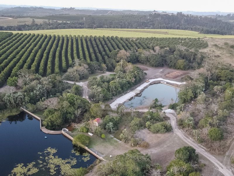Aerial view of the farm property featuring two large dams, extensive agricultural land, and established tree plantations.