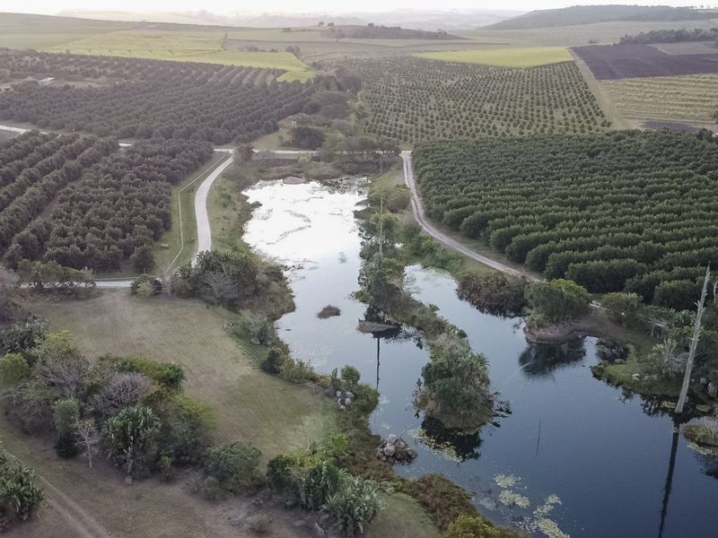 Aerial view of the farm property featuring extensive orchards, cultivated fields, and a natural pond with surrounding landscape.