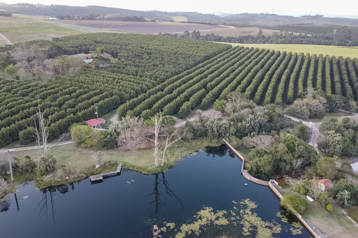 Aerial view of a farm property featuring extensive orchards, a large dam with a wooden jetty, and surrounding natural landscape.