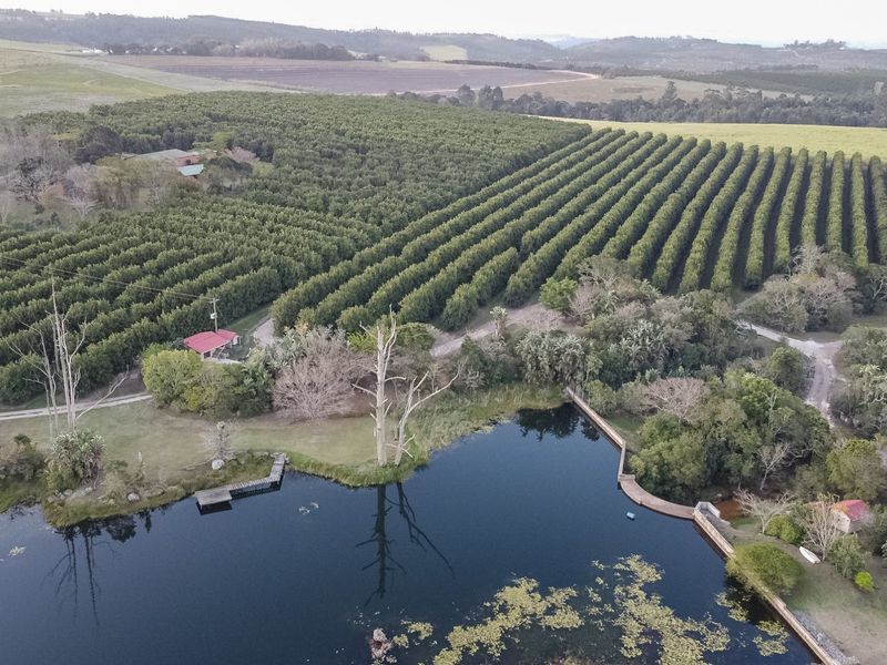 Aerial view of a farm property featuring extensive orchards, a large dam with a wooden jetty, and surrounding natural landscape.
