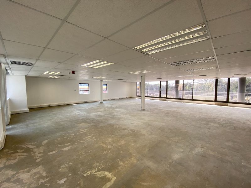 A large, open-plan commercial office space featuring a suspended ceiling, recessed lighting, structural columns, and expansive windows with an unfinished concrete floor.