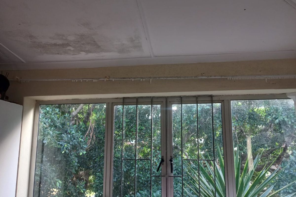 Bedroom window area featuring security bars and garden views, showing visible signs of ceiling water damage and maintenance requirements.