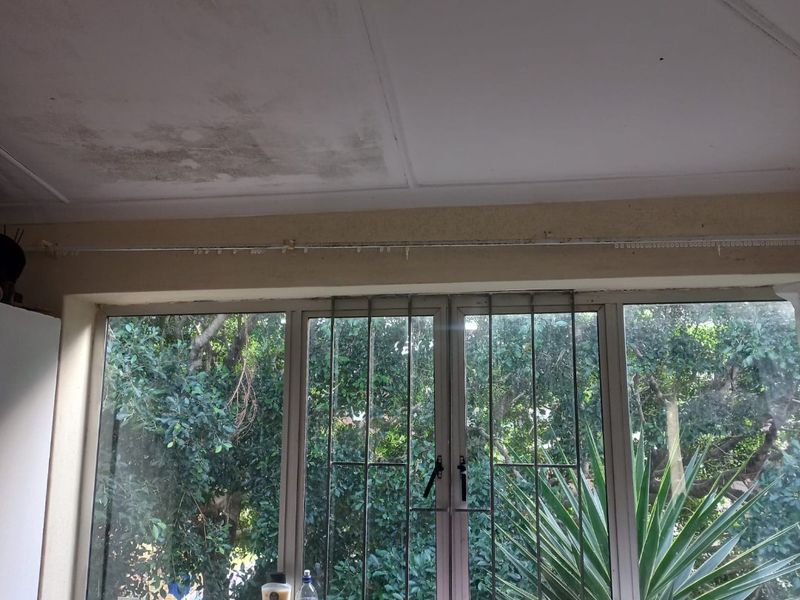 Bedroom window area featuring security bars and garden views, showing visible signs of ceiling water damage and maintenance requirements.