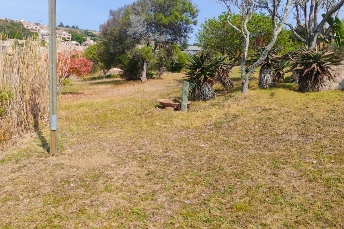 A view of a residential vacant land plot featuring established trees, indigenous aloe plants, and a gentle slope.