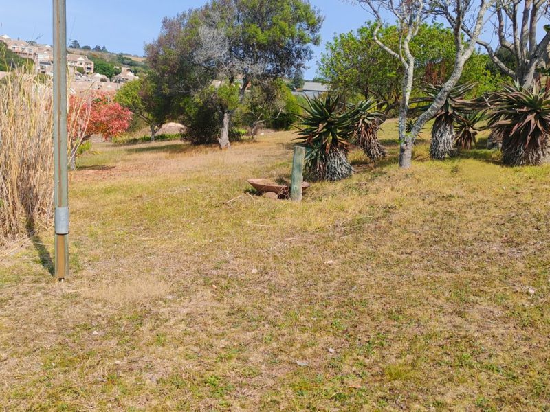 A view of a residential vacant land plot featuring established trees, indigenous aloe plants, and a gentle slope.