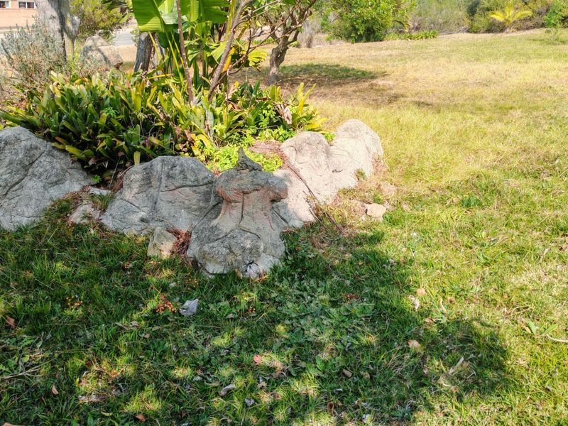 A view of the residential garden area featuring established landscaping and a decorative rockery feature.