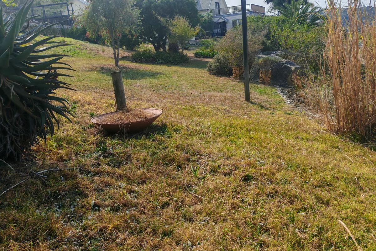 A view of a residential garden area featuring established trees, shrubs, and natural landscaping elements on a sloped plot.