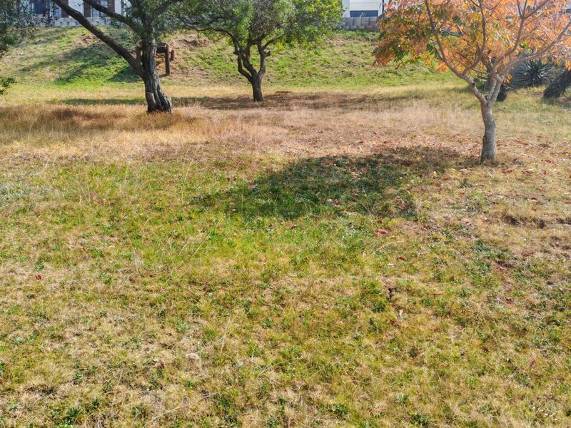 Just say Yes to Dreams and Settle in Paradise. - Photo 6