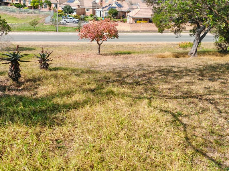 A view of a vacant residential plot featuring natural grass, established trees, and shrubs, with a road and neighboring houses visible in the background.