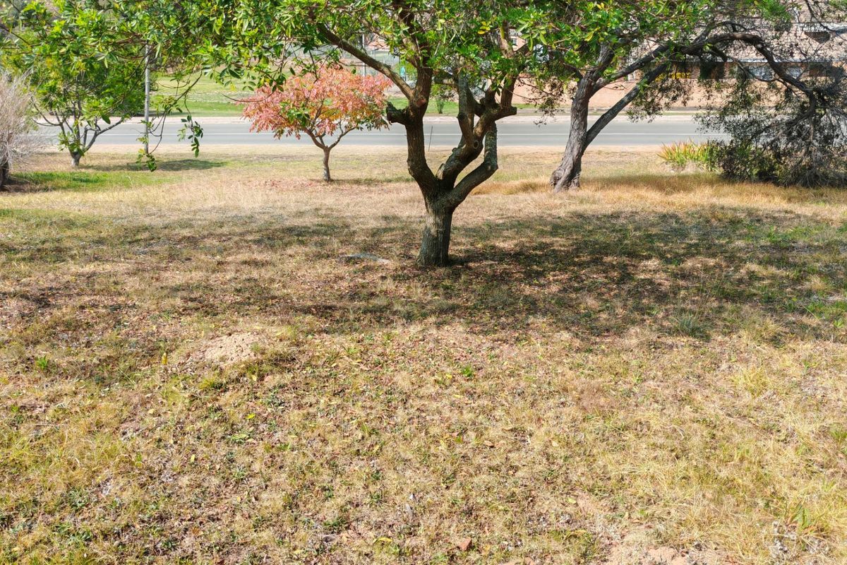 A view of the vacant residential land featuring established trees and natural grass coverage.