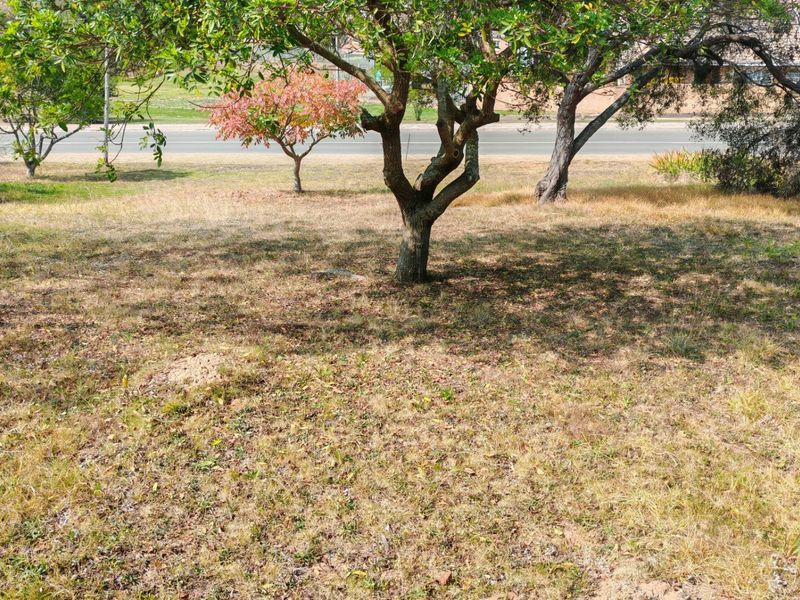A view of the vacant residential land featuring established trees and natural grass coverage.