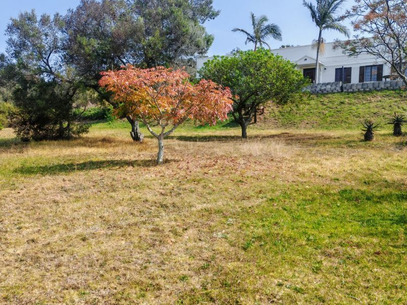 A spacious residential garden featuring mature trees, a sloped lawn, and a retaining wall leading up to the main dwelling.