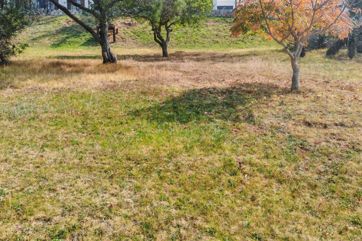A view of the vacant residential land featuring established trees and a gentle slope across the property.