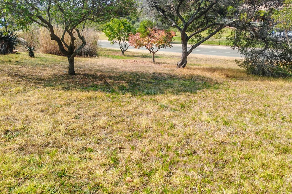 A view of the vacant residential land featuring established trees and natural grass coverage.