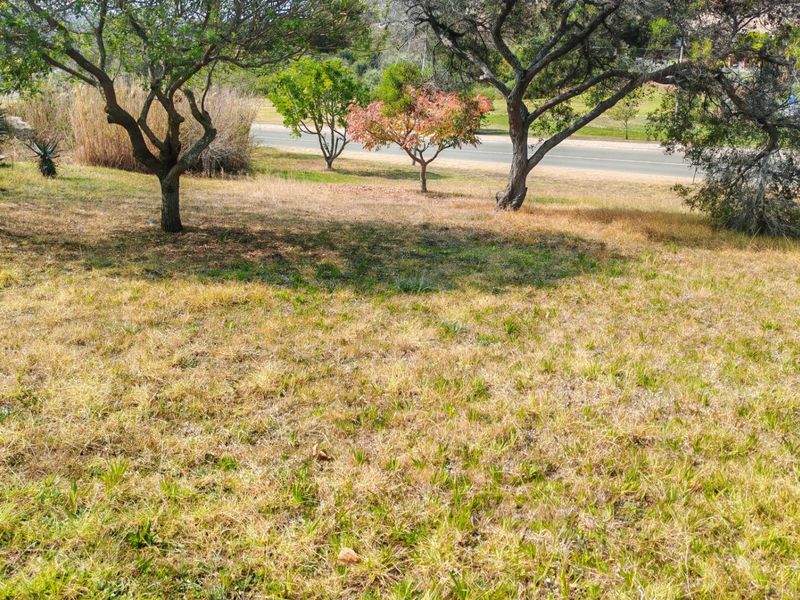 A view of the vacant residential land featuring established trees and natural grass coverage.