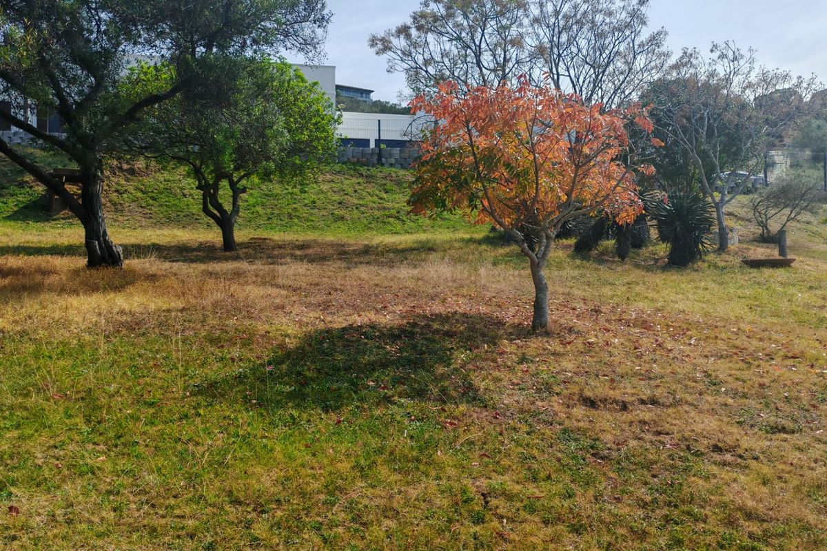 A view of a sloped residential plot featuring mature trees and established landscaping, offering potential for future development.