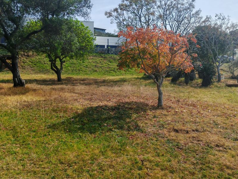 A view of a sloped residential plot featuring mature trees and established landscaping, offering potential for future development.