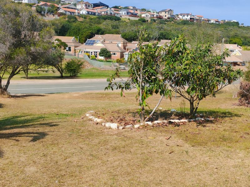 A view of the surrounding residential neighbourhood and established garden area from the vacant residential land.