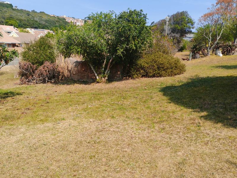 A view of the established garden area featuring mature trees, shrubs, and natural rock formations on the residential plot.