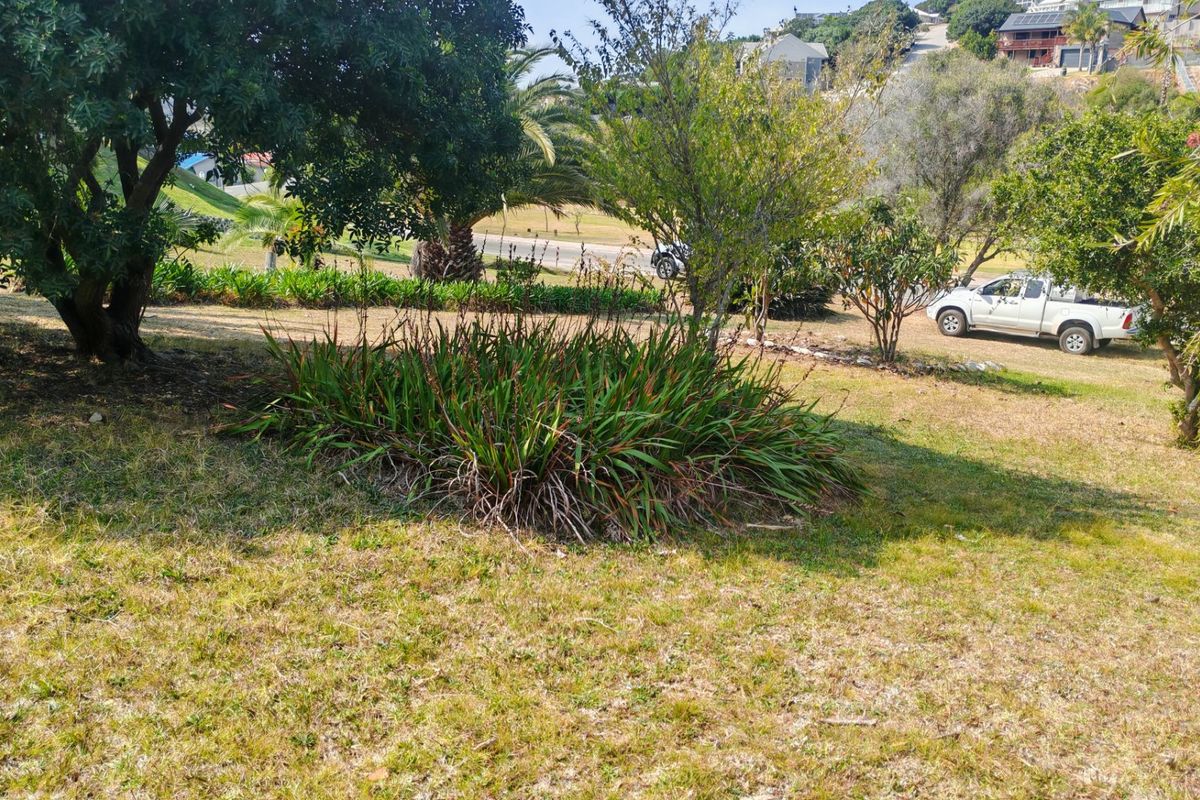 A view of the residential vacant land featuring established trees, shrubs, and a grass lawn area.