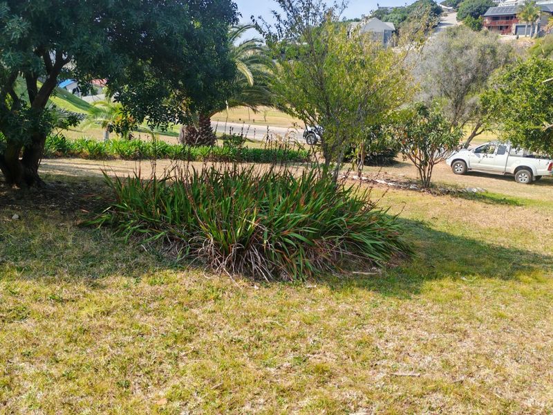 A view of the residential vacant land featuring established trees, shrubs, and a grass lawn area.