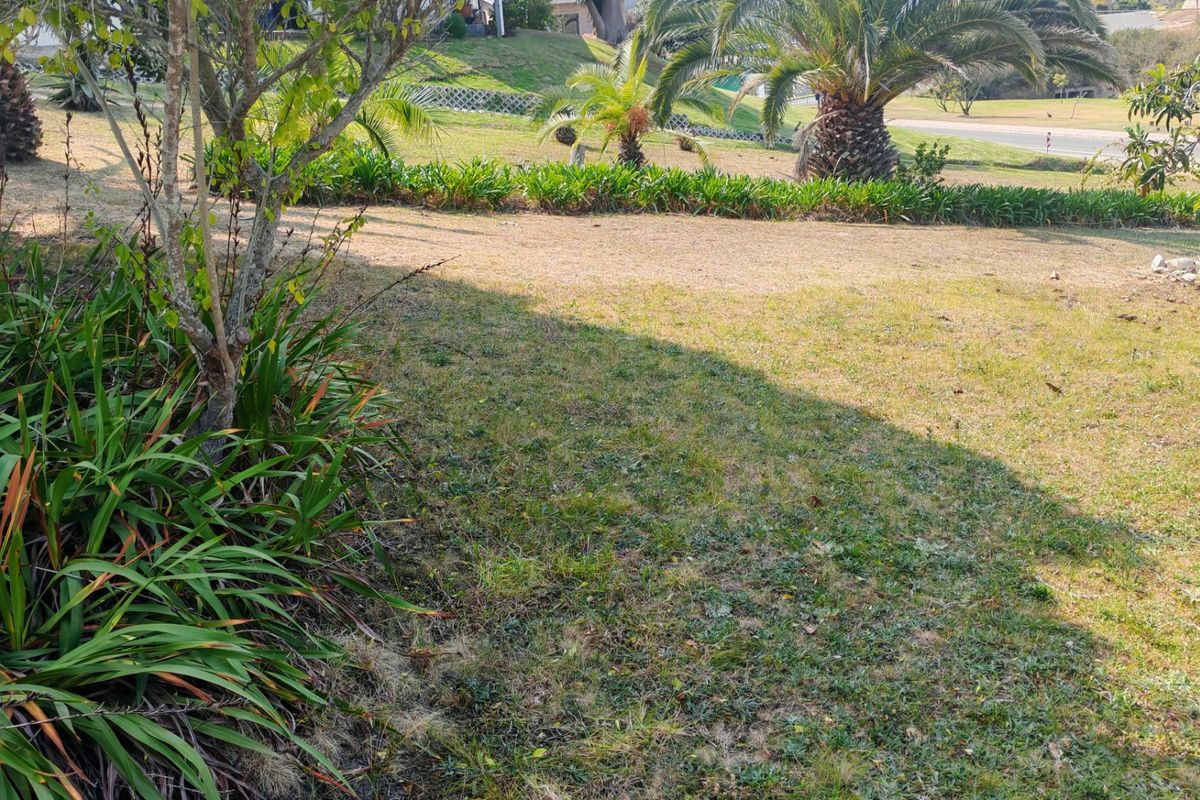 A view of a residential garden area featuring established landscaping, mature palm trees, and a grass lawn.