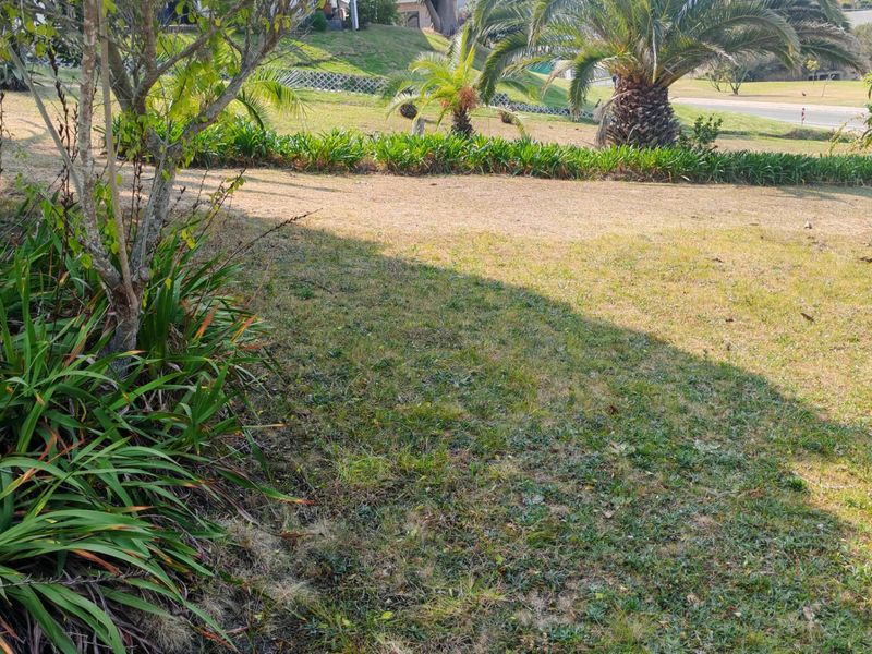 A view of a residential garden area featuring established landscaping, mature palm trees, and a grass lawn.