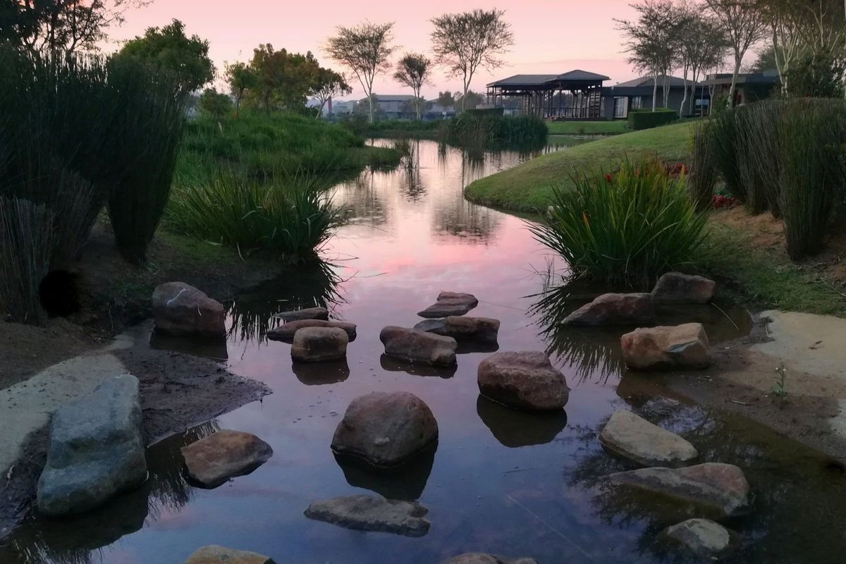 A scenic view of a landscaped pond featuring natural stepping stones and lush greenery within a residential estate setting.