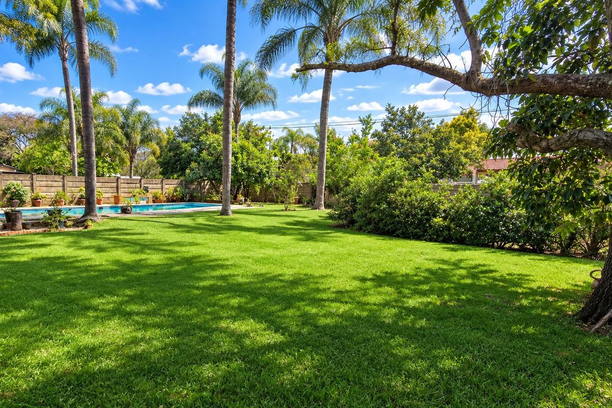 A spacious, well-maintained garden featuring a lush green lawn, mature trees, and a swimming pool enclosed by a boundary wall.