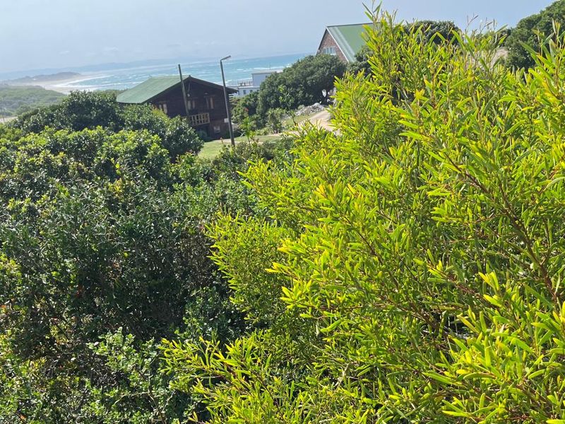 Prime Vacant Land for Sale Paradise Beach Jeffreys Bay - Photo 8