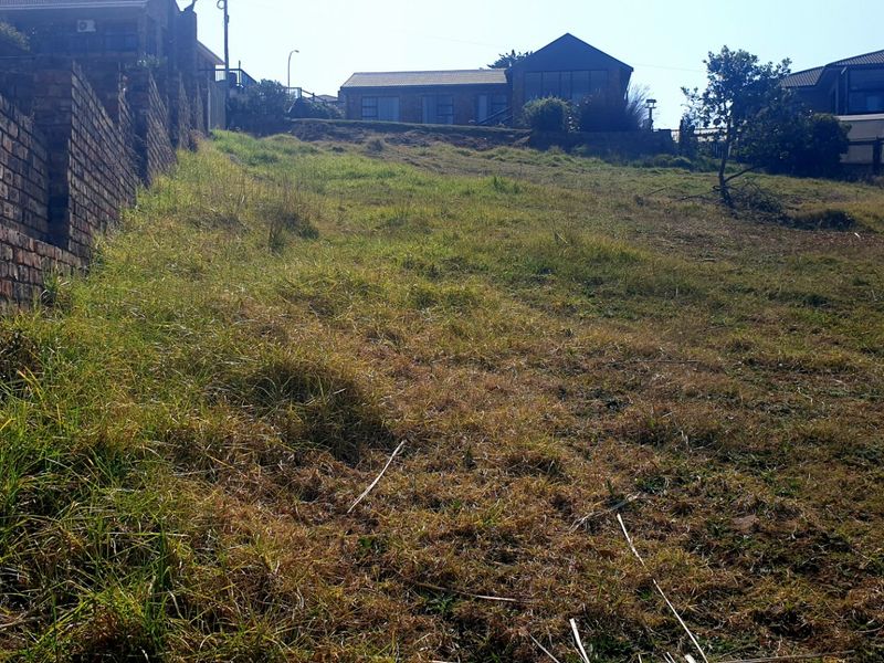 A Rare Coastal Canvas in the Dana Bay Conservancy. - Photo 9