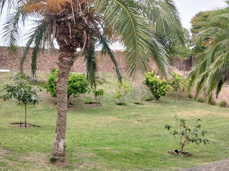 A BEAUTIFUL BUY.....RUN DONT WALK FOR THIS ONE.... - Photo 9