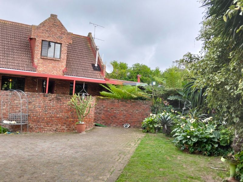 A BEAUTIFUL BUY.....RUN DONT WALK FOR THIS ONE.... - Photo 3