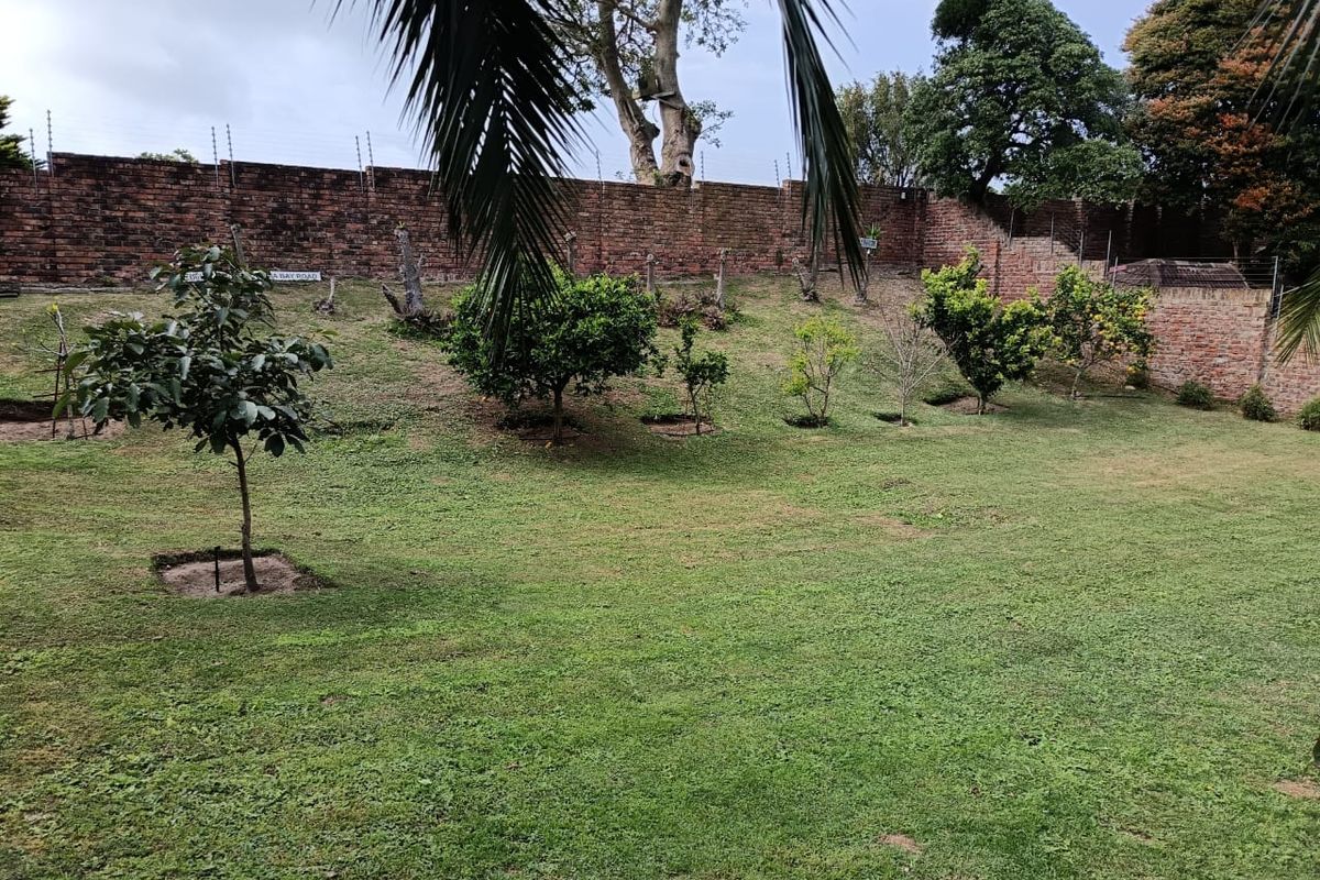 A BEAUTIFUL BUY.....RUN DONT WALK FOR THIS ONE.... - Photo 5