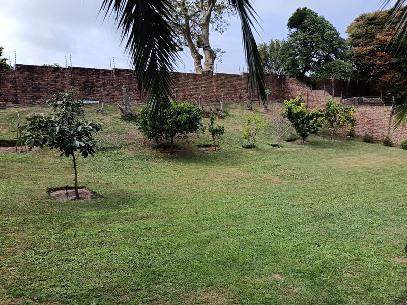 A BEAUTIFUL BUY.....RUN DONT WALK FOR THIS ONE.... - Photo 5