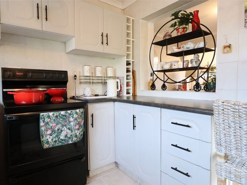 Cuteness overload - Photo 4