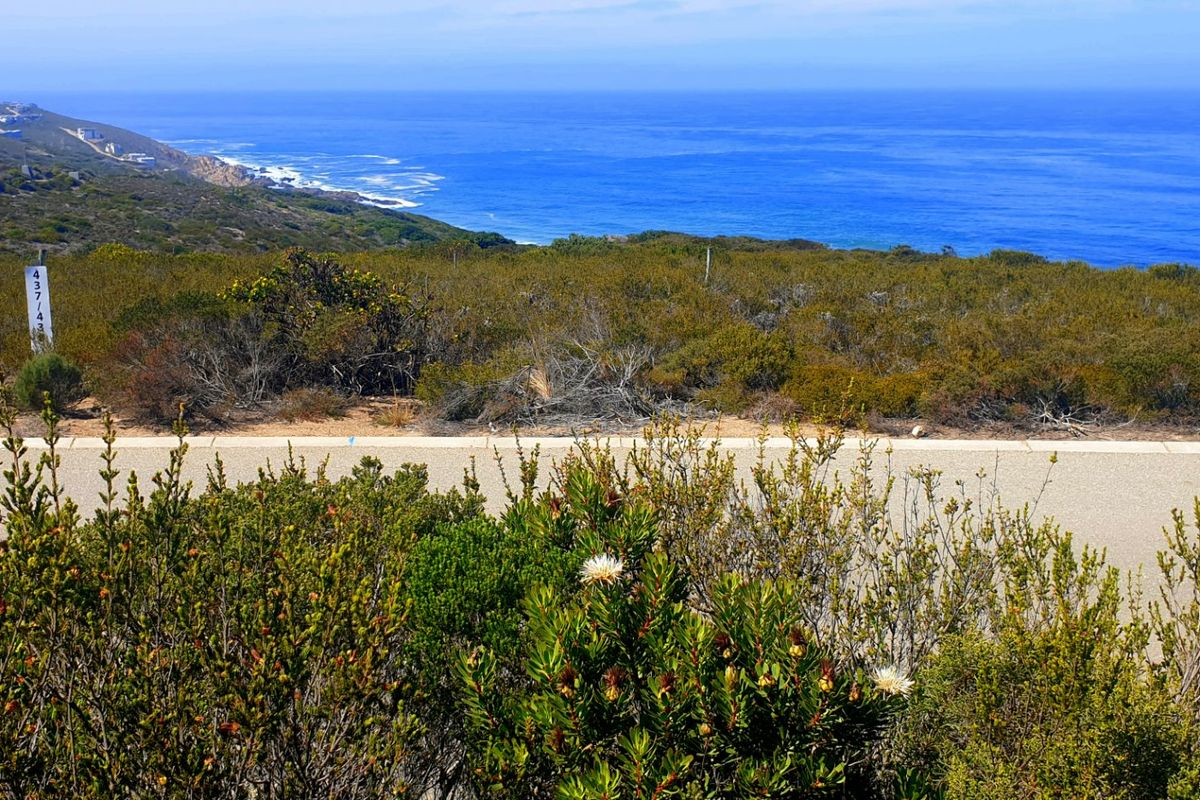 Magnificent Location, Exceptional Environment, Awesome Investment. - Photo 3