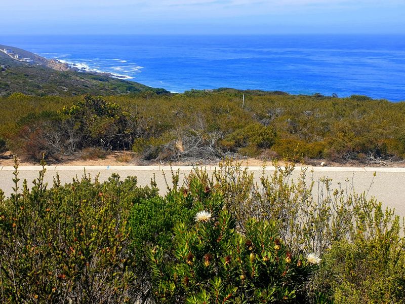 Magnificent Location, Exceptional Environment, Awesome Investment. - Photo 3