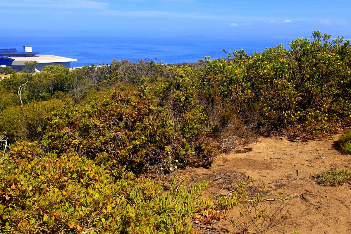 Magnificent Location, Exceptional Environment, Awesome Investment. - Photo 4