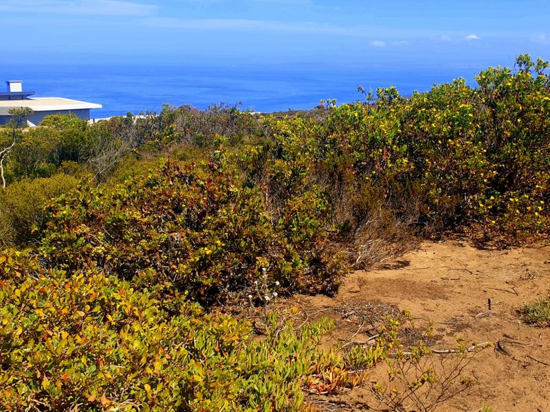 Magnificent Location, Exceptional Environment, Awesome Investment. - Photo 4