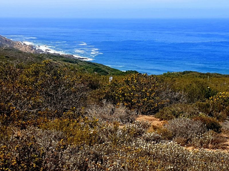 Magnificent Location, Exceptional Environment, Awesome Investment. - Photo 10