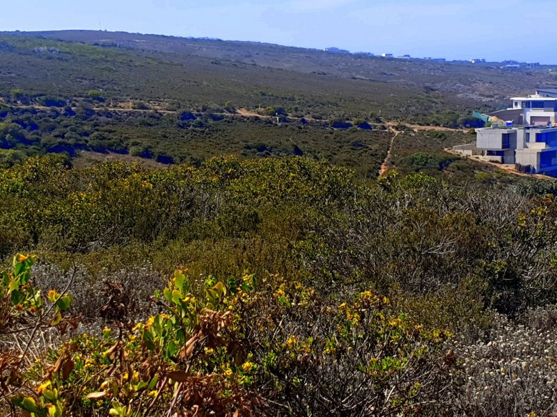 Magnificent Location, Exceptional Environment, Awesome Investment. - Photo 9