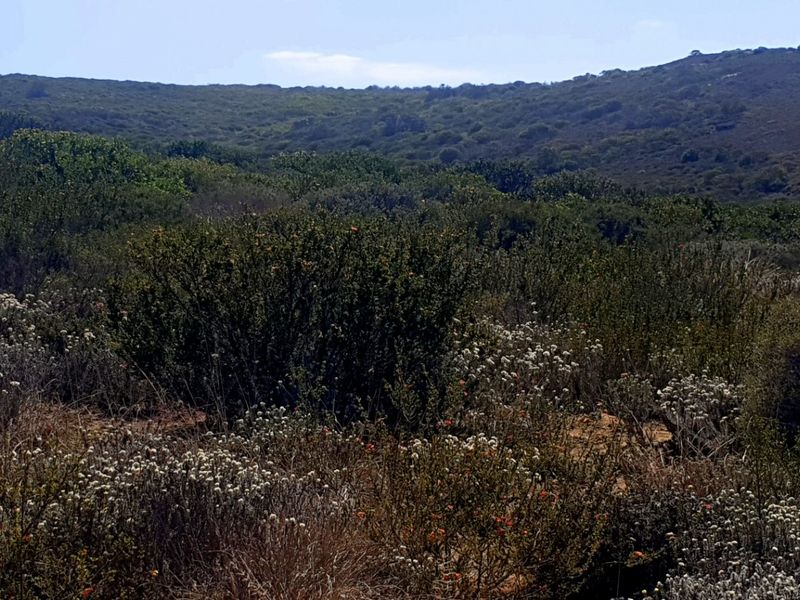 Magnificent Location, Exceptional Environment, Awesome Investment. - Photo 8