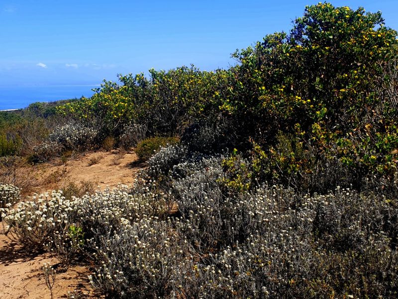 Magnificent Location, Exceptional Environment, Awesome Investment. - Photo 7