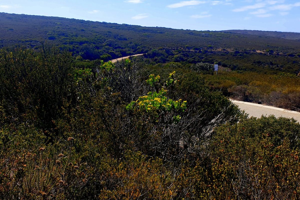 Magnificent Location, Exceptional Environment, Awesome Investment. - Photo 2